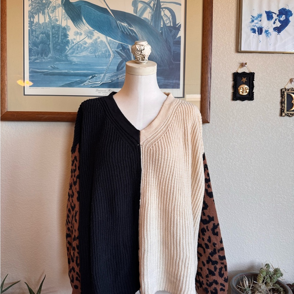 Dee Elly Color Block & Animal Print Sweater